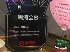 -海底捞大排档火锅(悦荟广场店)