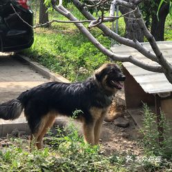 67673人均变态_中国人均寿命变化图(2)