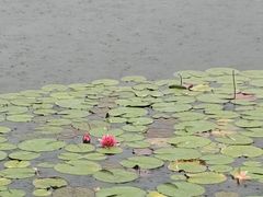 -徐霞客故居