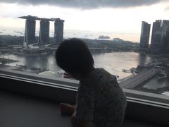 -新加坡瑞士史丹福酒店