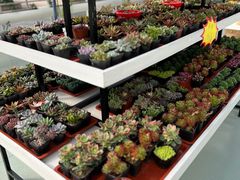 -兴芮温泉度假区