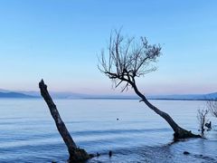 -大理洱海