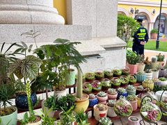 -首创奥特莱斯(西安店)