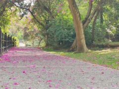 -广州市白云山风景名胜区