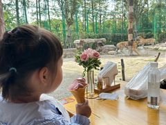 -上海野生动物园老虎餐厅