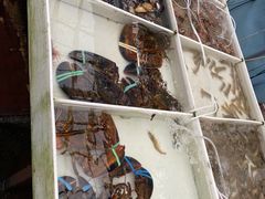 -毕家疃综合市场