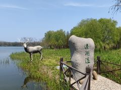 -溱湖国家湿地公园