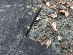 -四川大学(华西校区)