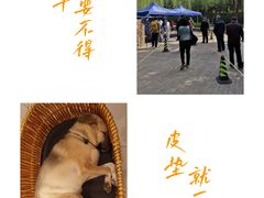 -玲珑塔公园