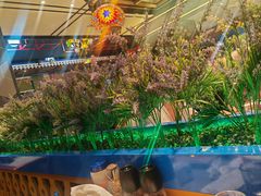 -通海俄式烧烤·俄罗斯大串(嵩山路店)