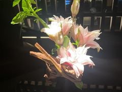 -曲水兰亭(北京四惠店)