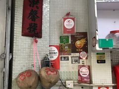 -洪馨椰子