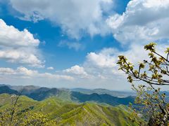 -大连天门山国家森林公园