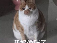 -骏骏牛肉粉店(吉庆街店)