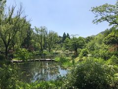 -杭州植物园