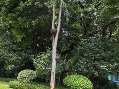 -广州花园酒店