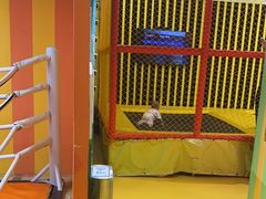 -不可思议减压馆·解压博物馆·摔碗发泄·团建定制