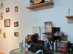 -猫爪屋猫咖(乐汇城店)