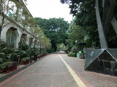 -九龙公园