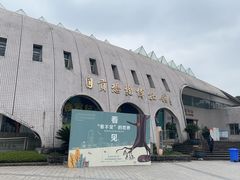 -自贡恐龙博物馆