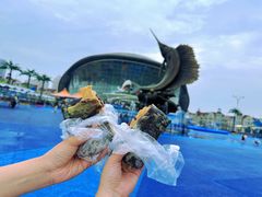 -海合安天津极地海洋公园