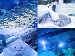 -郑州海洋馆