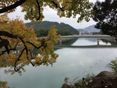 -溪口-滕头旅游景区