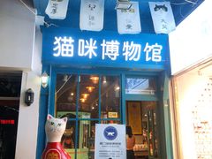 -猫咪博物馆(顶澳仔猫街店)