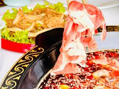 -尚品火锅(正阳路店)