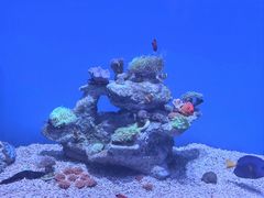 -广州海洋馆