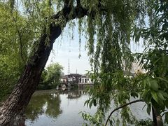 -水绘园