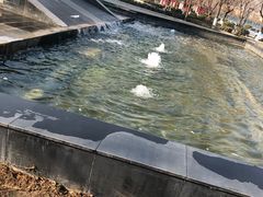 -陕西科技大学福慧图书馆