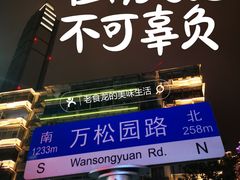 -万松园美食街