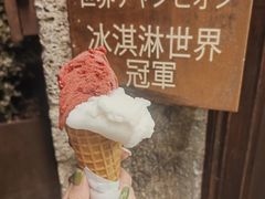 -Gelateria Dondoli