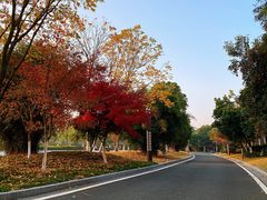 -红豆杉庄会议中心