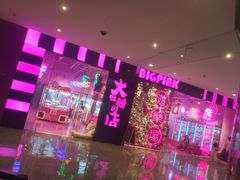 -BIG PINK大粉娃娃机主题馆(圆融星座店)
