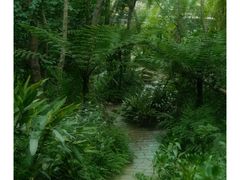 -大连植物园