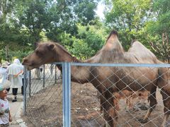 -长白岛森林公园