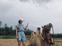 -鄂尔多斯野生动物园