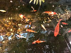 -聚缘堂·海鲜私房菜(松岭路店)