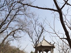 -嵖岈山风景区