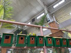 -南宫五洲植物乐园