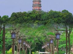 -顺峰山公园