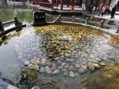-百脉泉景区