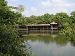 -西湖外事游船(花港观鱼码头)