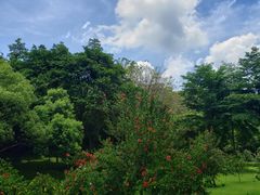 -云溪植物园