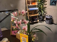 -施奈儿.洗头頭療.按摩SPA.采耳(上梅林店)