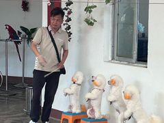 -南戴河国际娱乐中心