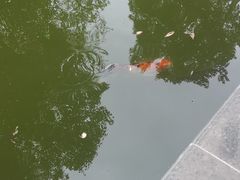 -嘉定博物馆