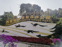 -西双版纳原始森林公园